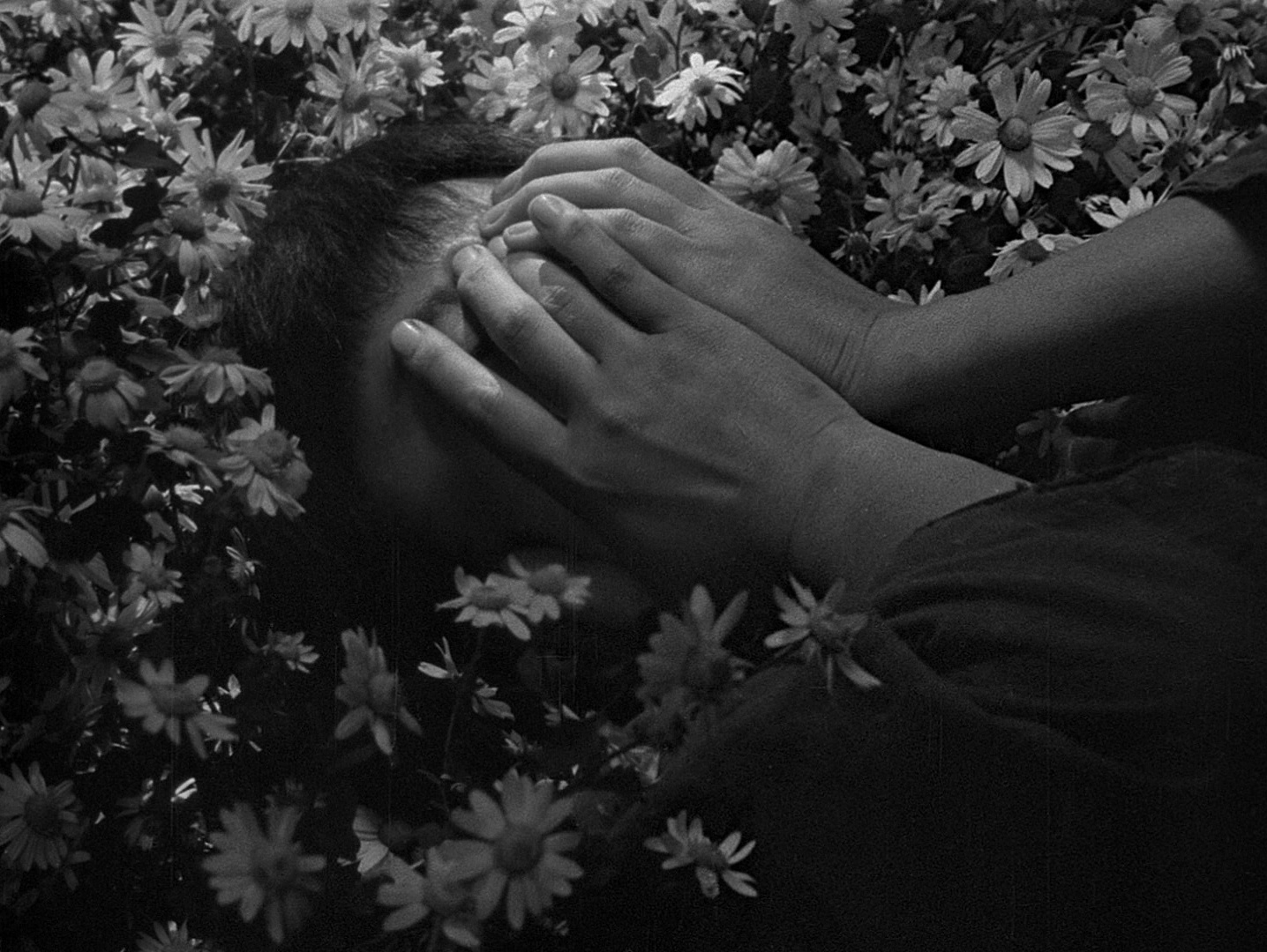 still from Seven Samurai (1954) — chiaroscuro lighting holding figures within a layered frame, key, fill, and background each playing a defined role