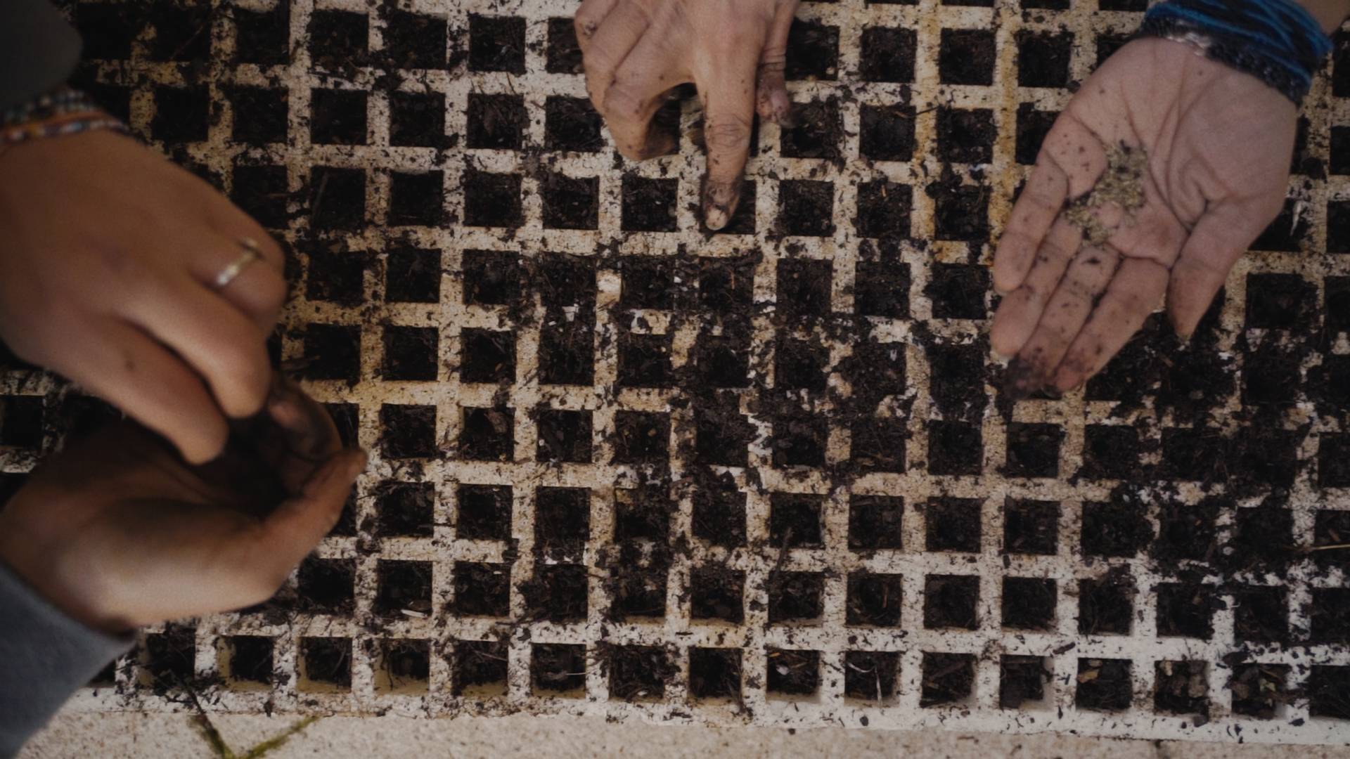 Taghmees — Learning Soils still 9