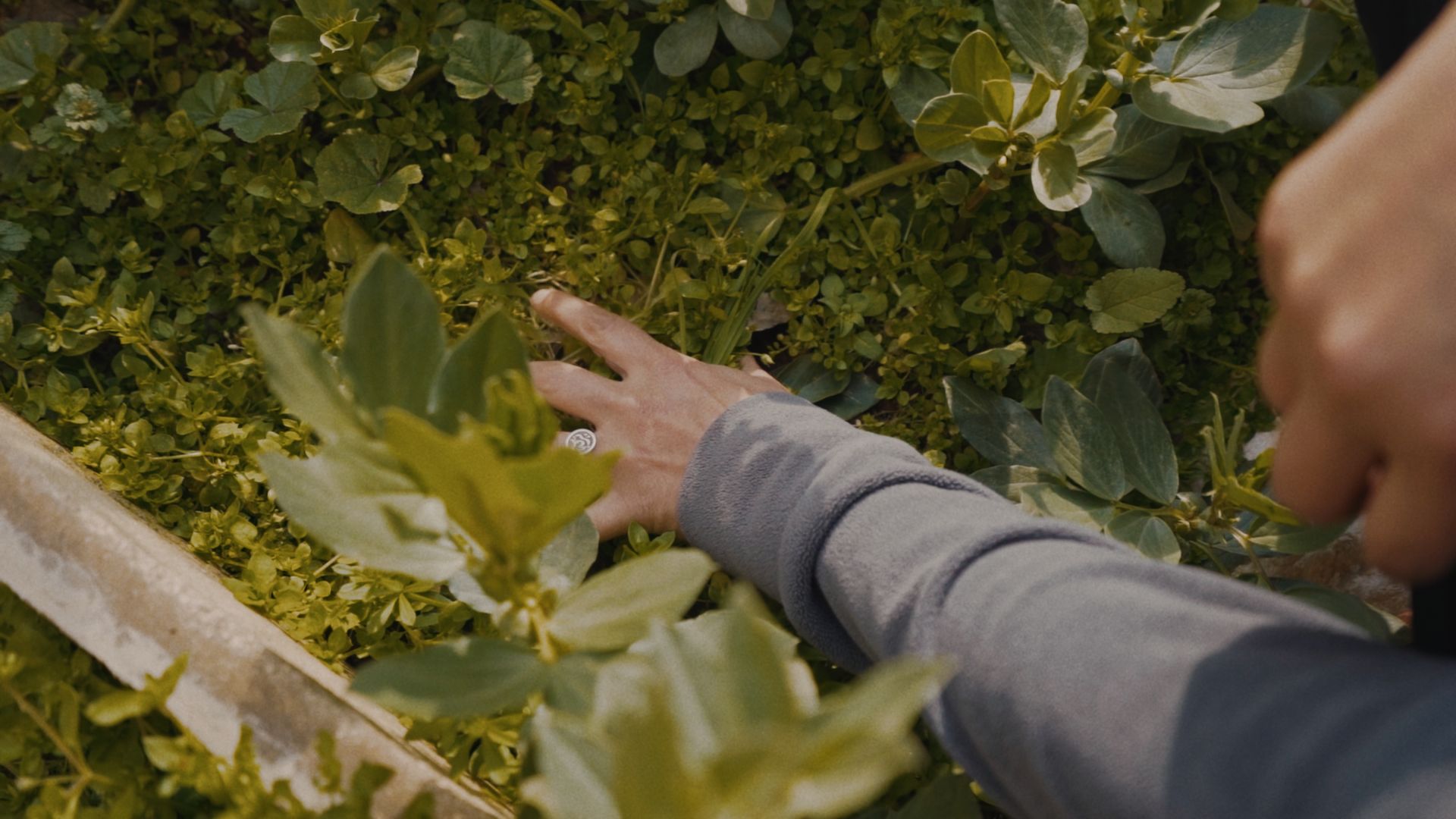 Taghmees — Learning Soils still 11