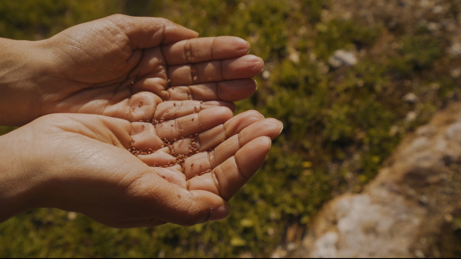 Taghmees — Learning Soils still 14