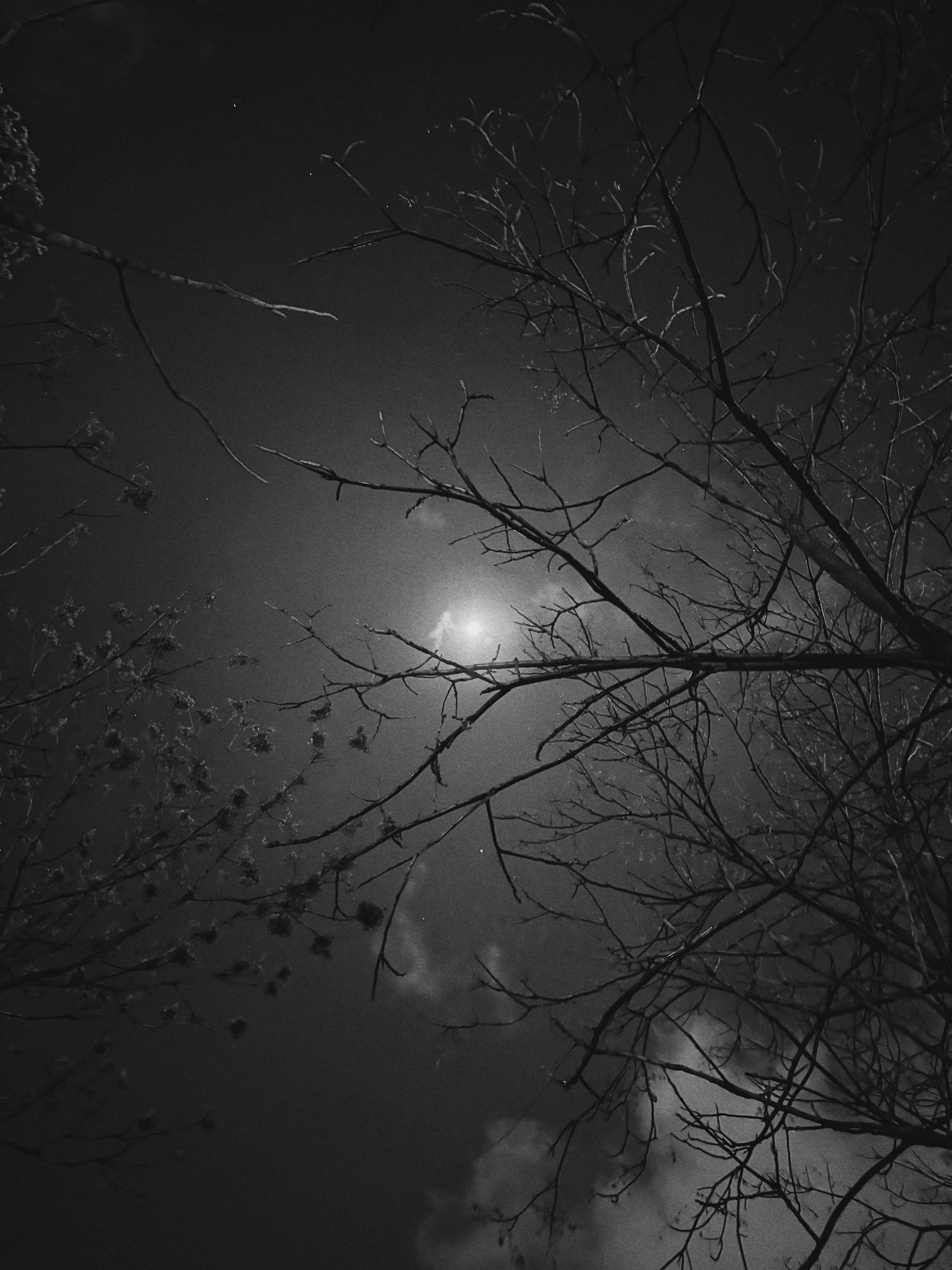 31.960928'N, 35.903634'E