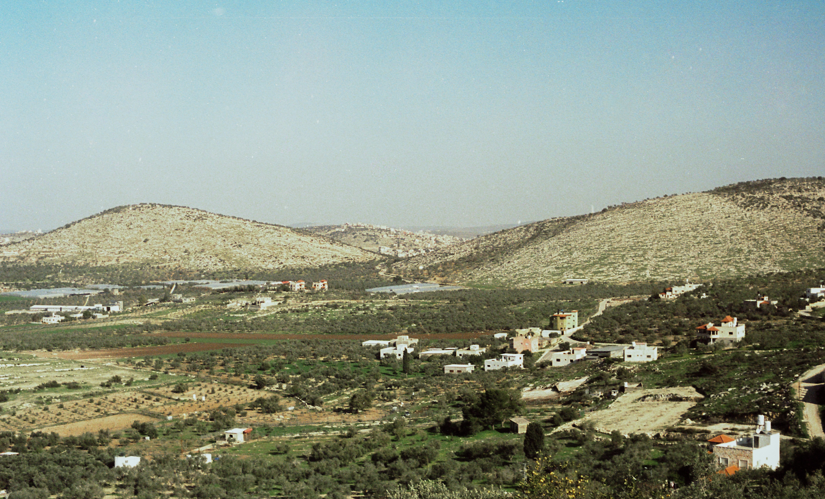 32°24'06.2'N 35°14'08.8'E