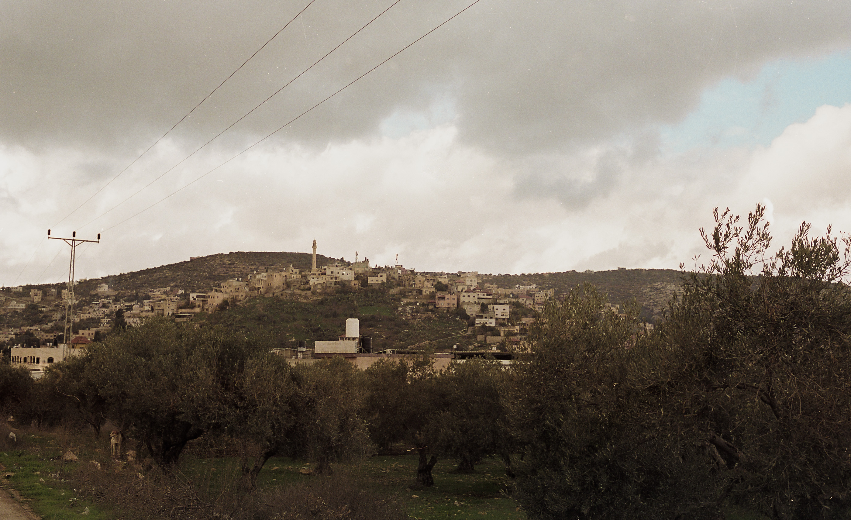 32°20'04.0'N 35°13'10.5'E