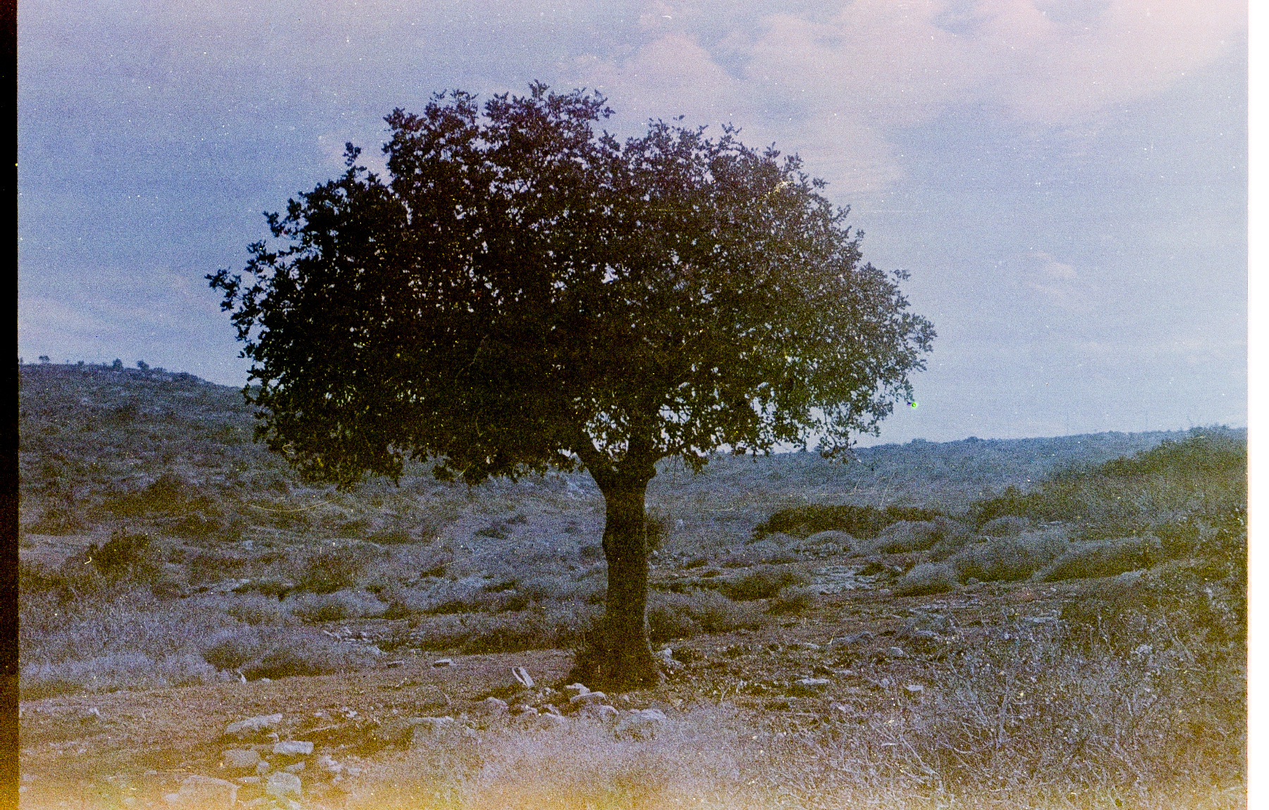 32°25'35.3'N 35°20'25.9'E