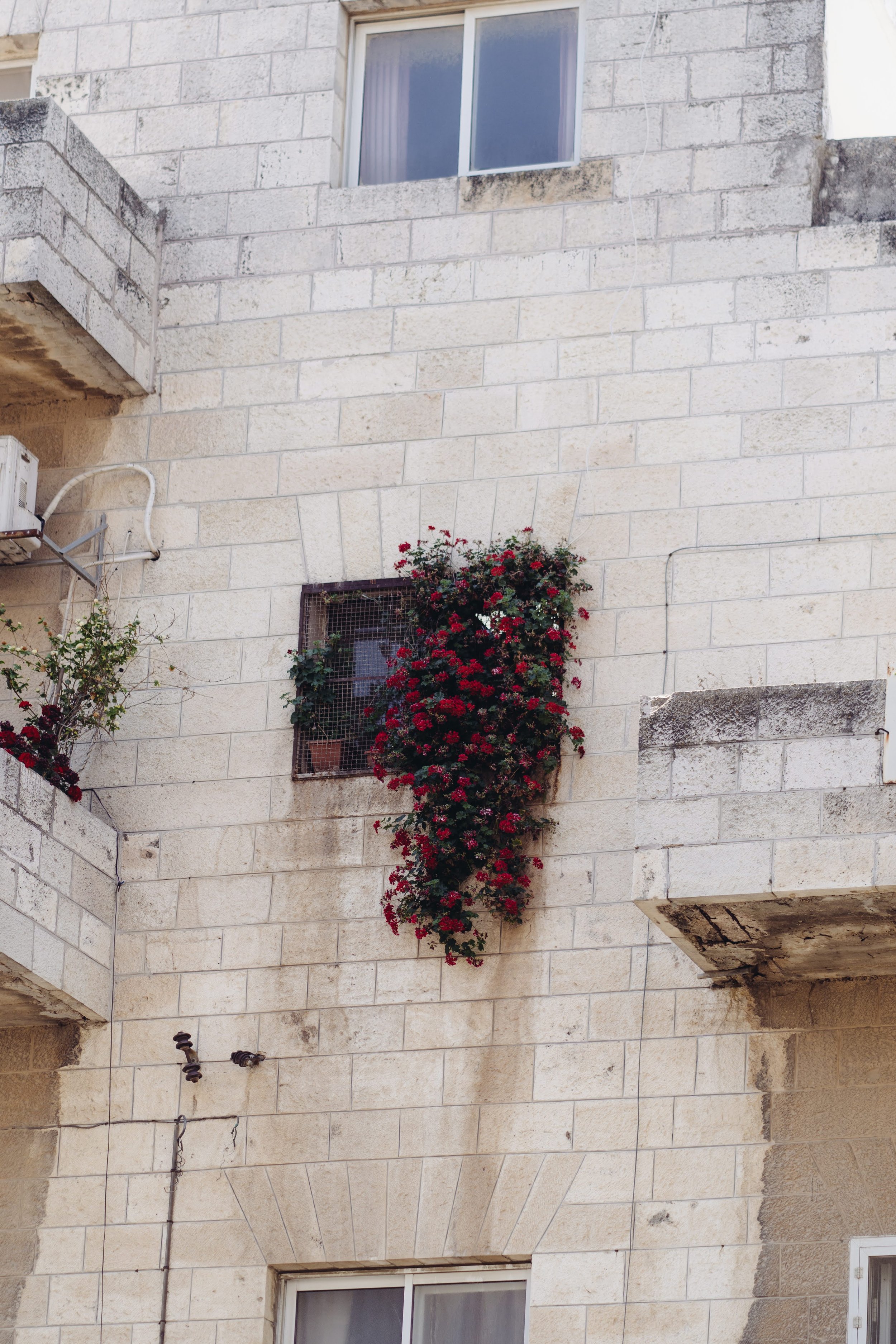 Photo 49